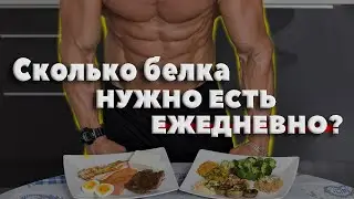 В КАКИХ ПРОДУКТАХ СОДЕРЖИТСЯ БЕЛОК? Продукты богатые белком. Белок в продуктах