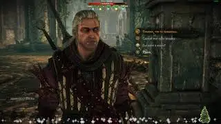 The Witcher 2: Assassins of Kings Путь Иорвета №10 (ФИНАЛ)