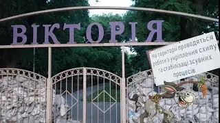 Осёл всегда смотрит на морковку впереди него. #Viktoria