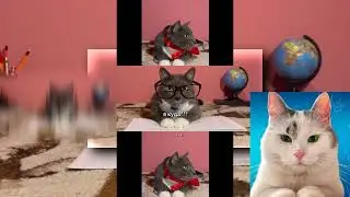 (YTPMV) ЕСЛИ БЫ КОТИКИ ХОДИЛИ В ШКОЛУ   ЧТО ВАМ БОЛЬШЕ ВСЕГО НРАВИТСЯ В ШКОЛЕ Scan