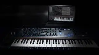PolyBrute Connect | Hardware Synthesizers | ARTURIA