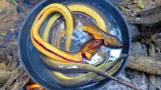 Yummy Eels Recipe Cooking with Banana Flower in Forest Eating Delicious