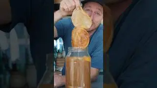 Raw Honey Kombucha Recipe 🍯 #cooking #kombuchatea #kombucha