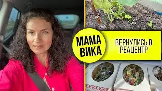 VLOG: КОТ🐈съел все ОГУРЦЫ👀/ Классный ПРАЗДНИК🥳/ Мама Вика❤️