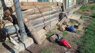 Drujba China și Holzfforma în Lemn Uscat / Chinese Chainsaw and Holzfforma in Dry Wood #drujba