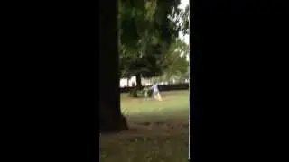супер приколы