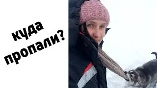 Жизнь на ферме#80: Куда пропали?