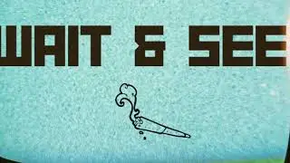 SteveO Stoner - Wait & See (Audio)