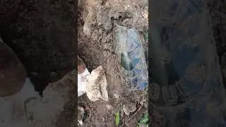 вечерок скоротал