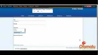Olamalu - Adding Company Details in Drupal 7