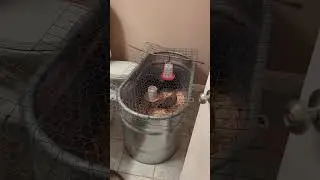 So crazy!