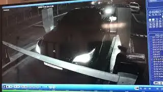 7 ноября 2018 г.