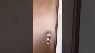 Дешевые нестандартные входные двери