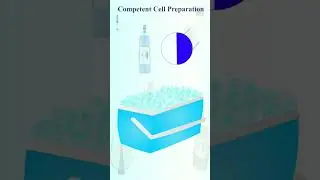 competent cell preparation - quick procedure