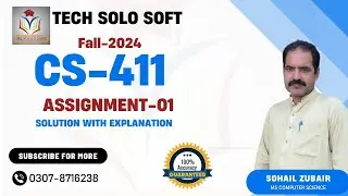 CS411 Assignment 1 Solution Fall 2024 100% Accurate by Tech solo soft | CS411 assignment 1 2024