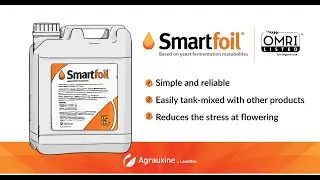Smarfoil