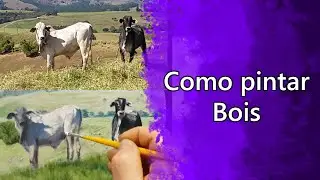 Como Pintar Bois