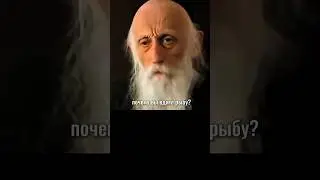 Почему вы едите рыбу? Мудрые слова со смыслом. Авраам Тверский
