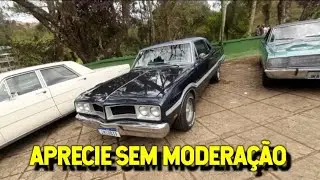 DODGE MAGNUM 1979 - UM CLÁSSICO V8 DO NOSSO AMIGO ANDRÉ EM DETALHES - CURTIR SEM LIGAR PRA CONSUMO