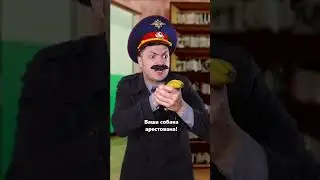 ПАПА, СЫН, ПЁСИК и НОСОРОГ!