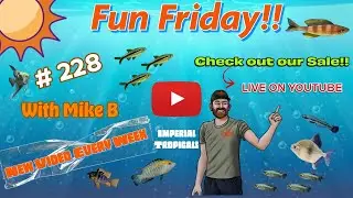Fun Friday # 228 Check out our new sale!