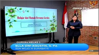 GURUku SBO TV - JAWAPOS TV Hari Ini - KELAS 3 SD SELASA 2 NOVEMBER 2021