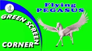 FLYING PEGASUS Green Screen Video Chrome Key Animation Green Screen Corner Animals Children Kids Zoo