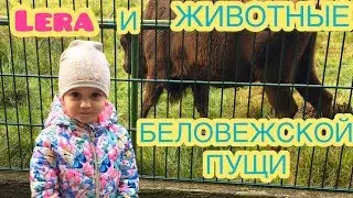 ЭКОПУТЕШЕСТВИЕ! ЛЕРА И ЖИВОТНЫЕ БЕЛОВЕЖСКОЙ ПУЩИ!