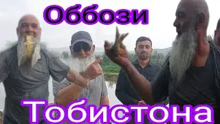 Оббози Тобистона