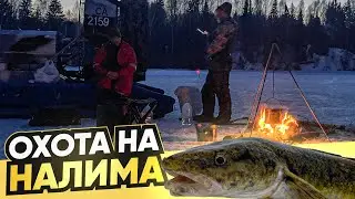 НАЛИМ. Рыбинское водохранилище.