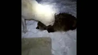 10 ноября 2021 г.