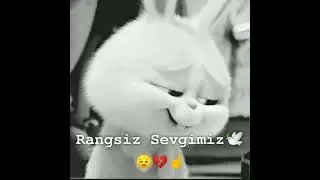 Vidyolarimni qayta kor balkim senga taluqli narsalar bordir