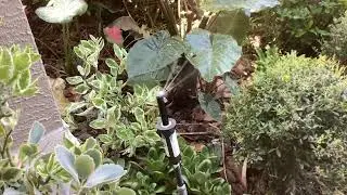 Comparing four thirty am with six thirty a. Force of irrigation and rotation