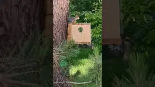 Смотрите какая красавица!!!
