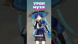 урон Странника с саппортами и без / Genshin Impact 4.6 