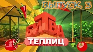 Битва теплиц. Выпуск 3. Теплица Кремлевская. Новые Формы - производитель теплиц.