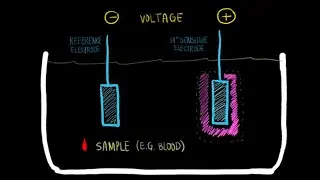 pH Electrode | Bioinstrumentation Design