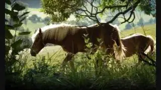 White Horse - Brian Crain