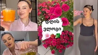 დღის ვლოგი