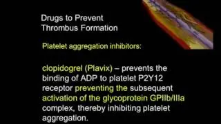 Platelet Aggregation Inhibitors