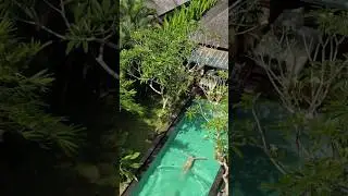 The best hotel in Ubud, Bali