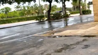 Crazy Scooter
