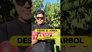 En la pisca!!