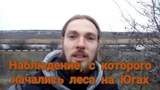 Наблюдение, с которого начались леса на Югах