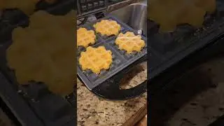 CARNIVORE BREAKFAST WAFFLES #carnivorebreakfast