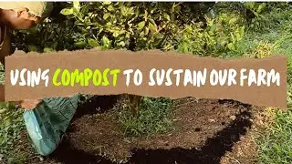 Using COMPOST help us establish a SUSTAINABLE FARM (Step by Step Guide)