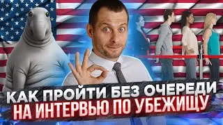 ТРИ РАБОЧИХ СПОСОБА, как ускорить интервью или суд по убежищу. Политическое убежище в США. Трей