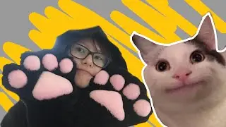 ЧЕЛОВЕК-КОТ