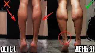 TRAINED THE SHIN 31 DAY CONTRACT | HOW TO PUMP calf muscles FOR THE MONTH?