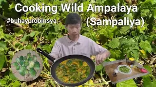 Cooking Wild Ampalaya
